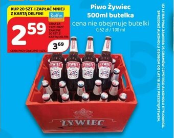 Delfin Żywiec Piwo 500 ml butelka oferta