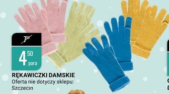 bi1 Rękawiczki damskie oferta