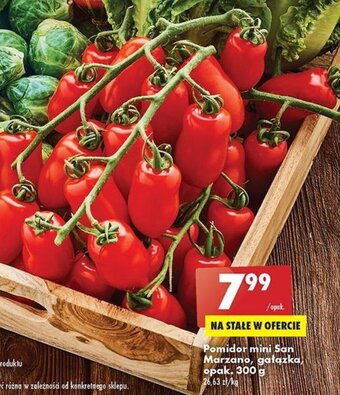 Biedronka Pomidor mini San Marzano, gałązka 300 g oferta