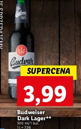 Lidl Piwo budweiser dark oferta