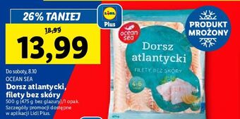 Lidl Dorsz atlantycki - filety b/s oceansea oferta