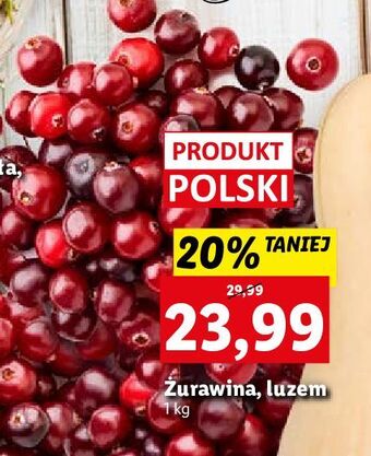 Lidl Żurawina oferta