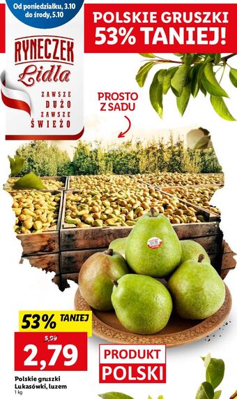 Lidl Gruszki lukasówki oferta