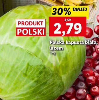 Lidl Kapusta biała oferta