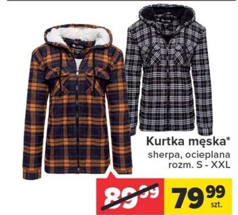 Carrefour Kurtka męska oferta