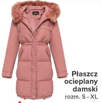 Carrefour Płaszcz damski oferta
