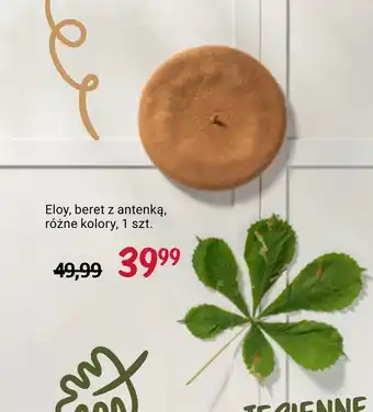 Rossmann Beret eloy oferta