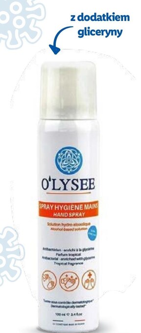 Lidl Spray do dezynfekcji oferta