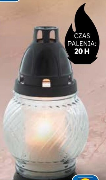Lidl Znicz oferta