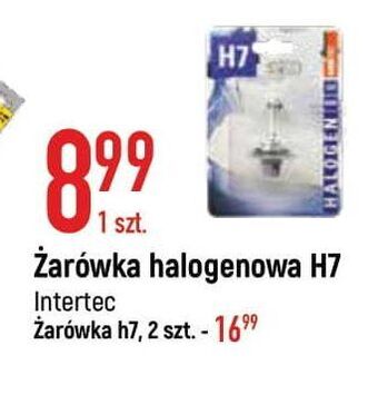 E.Leclerc Żarówka halogenowa h7 intertec oferta
