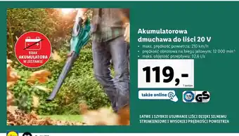 Lidl Dmuchawa do liści 20 v parkside oferta