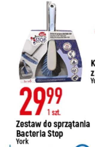 E.Leclerc Zmiotka z szufelką bacteria stop york oferta