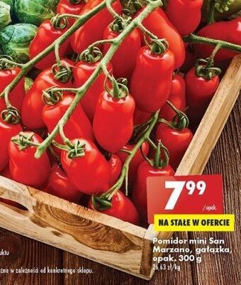 Biedronka Pomidory mini san marzano gałązka oferta