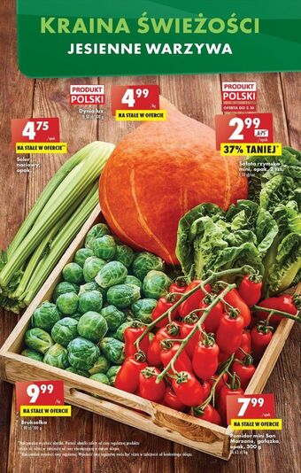 Biedronka Seler naciowy oferta