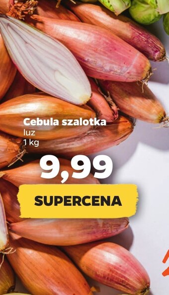 Szalotka