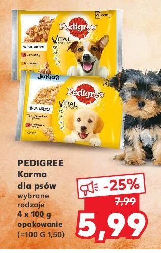 Kaufland Karma dla psa z wołowiną i drobiem w galaretce pedigree vital oferta