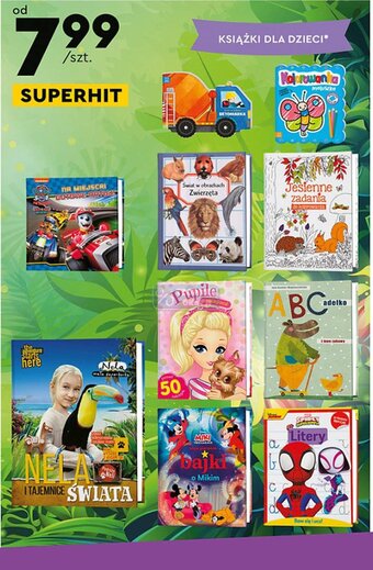 Biedronka Książki dla dzieci 1szt. oferta