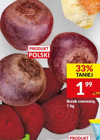 Twój Market Burak czerwony 1 kg oferta