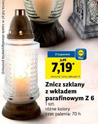 Lidl Znicz z wkładem 6 oferta