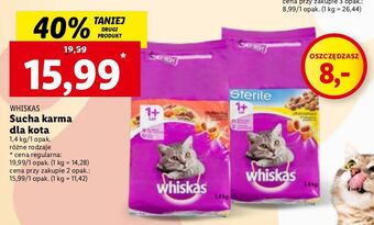 Lidl Karma dla kota z wołowiną whiskas oferta