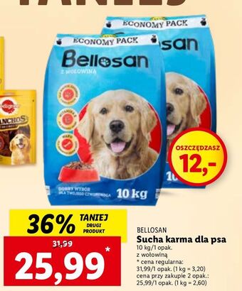 Lidl Karma dla psa wołowina bellosan oferta