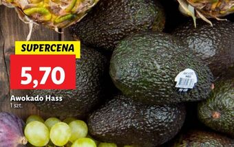 Lidl Awokado hass oferta