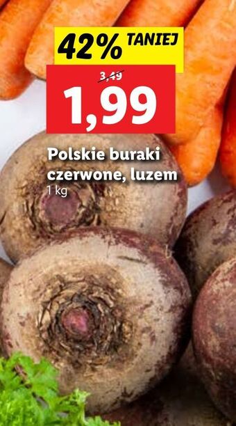 Lidl Buraki czerwone oferta