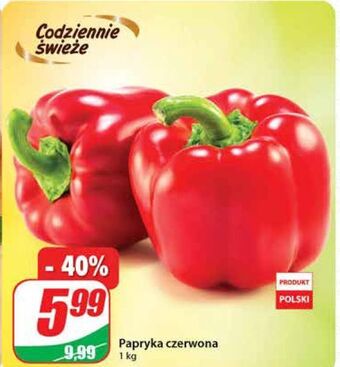 Dino Papryka czerwona oferta