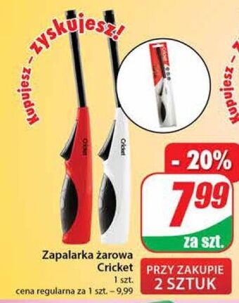 Dino Zapalarka żarowa cricket oferta