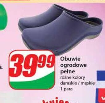 Dino Obuwie ogrodowe damskie oferta