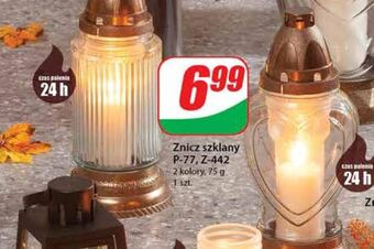 Dino Znicz szklany p-77 oferta