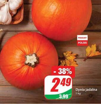 Dino Dynia oferta