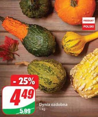 Dino Dynia ozdobna oferta