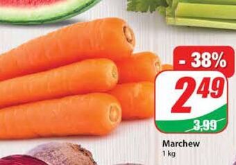 Dino Marchew oferta