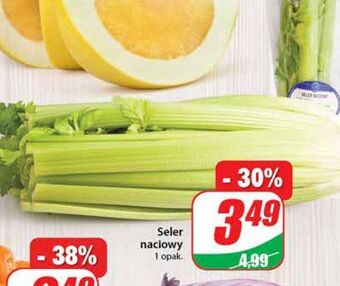 Dino Seler naciowy oferta
