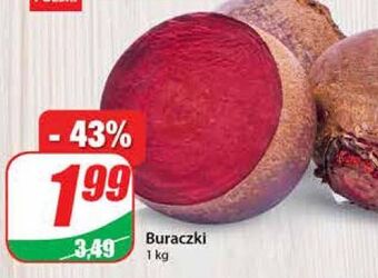 Dino Buraki oferta