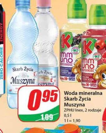 Dino Woda lekko gazowana muszyna skarb życia oferta