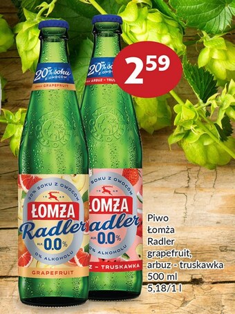 Prim Market Piwo łomża oferta