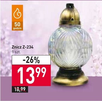 Stokrotka Znicz oferta