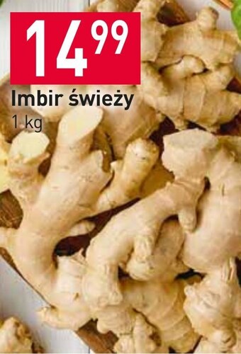 Stokrotka Imbir oferta