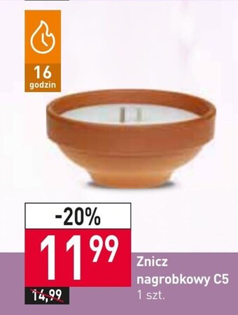 Stokrotka Market Znicz oferta