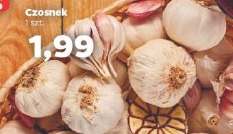 Netto Czosnek oferta