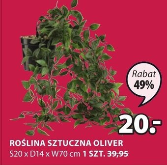 JYSK Roślina sztuczna oliver oferta