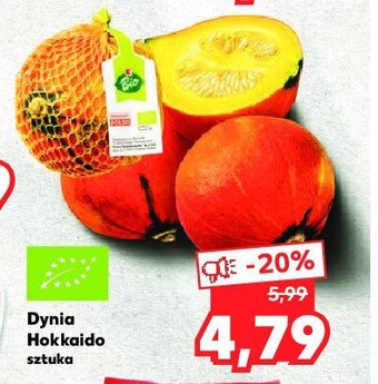 Kaufland Dynia hokkaido oferta