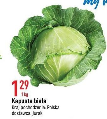 E.Leclerc Kapusta biała oferta