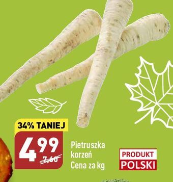 ALDI Pietruszka oferta