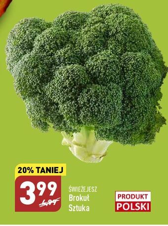 ALDI Brokuł świeże jesz oferta