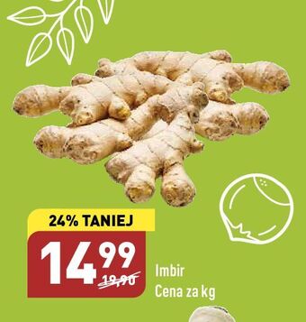 ALDI Imbir oferta
