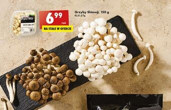 Biedronka Grzyby shimeji niezidentyfikowana marka oferta