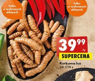 Biedronka Kurkuma oferta